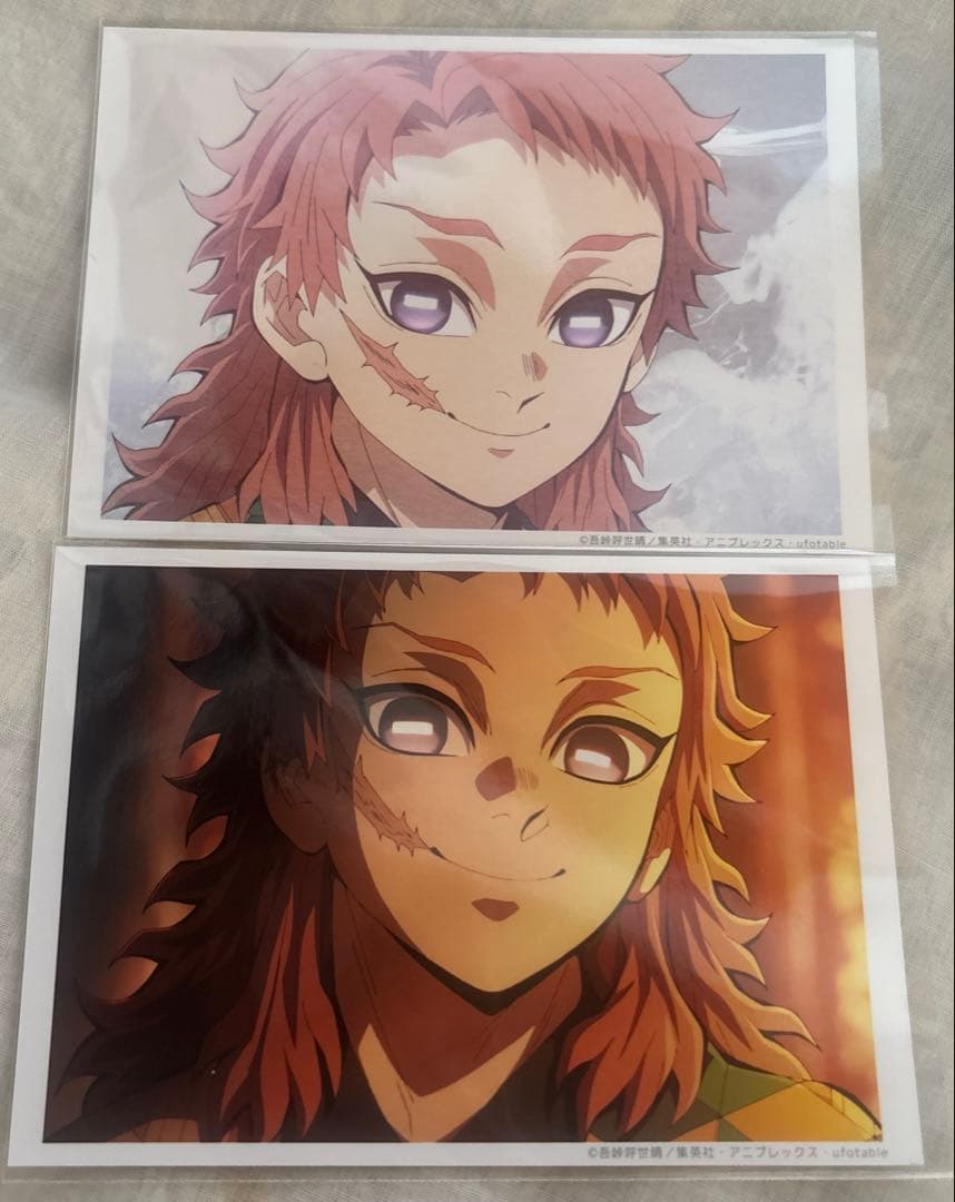 鬼滅の刃 場面写ブロマイドくじ 柱稽古 第2話 2枚セット 錆兎 - メルカリ