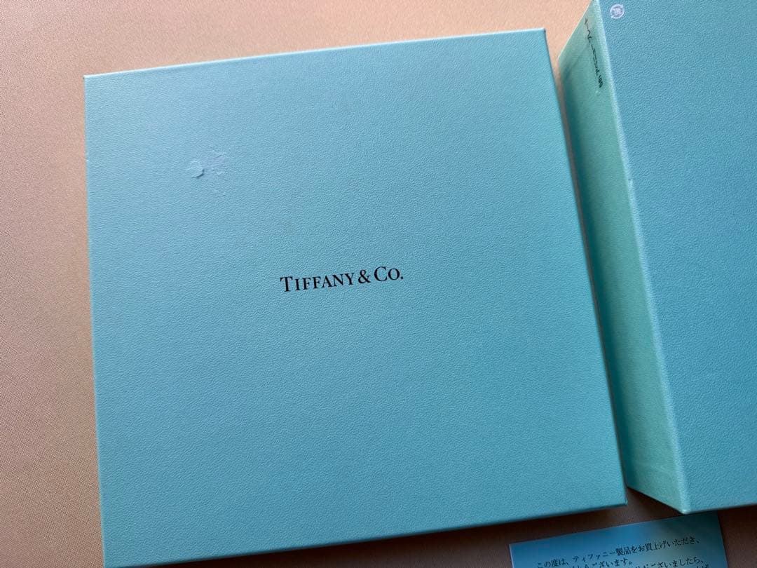 TIFFANY&Co. 5thAvenue デザートプレート2枚セット 袋付