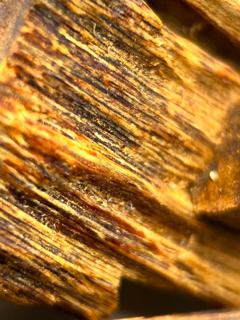 お香 天然沈香 六国五味聞香用 伽羅 香木 3-S-10.096 香木/香原料『伽羅・沈香6種セット【特撰・六国(りっこく)-RIKKOKU