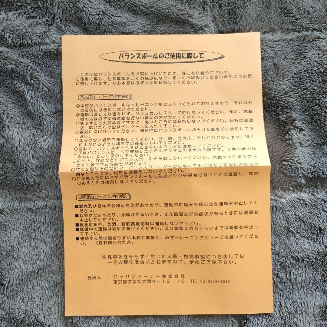 美坂式軽量振動運動法 バランスボール 鉄球 3㎏ ジャパンターナー 取説