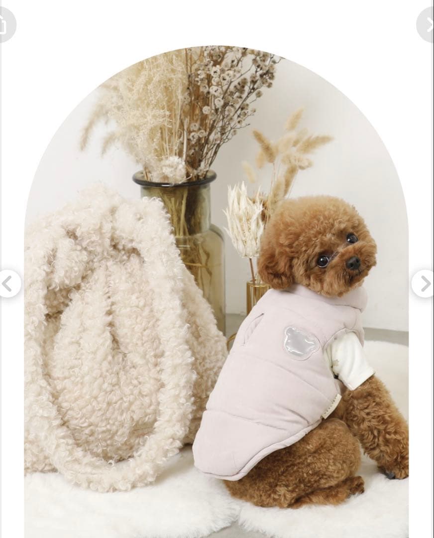 moncheriモンシェリ HAPPY BAG 2026！！ダウン M 福袋 - メルカリ