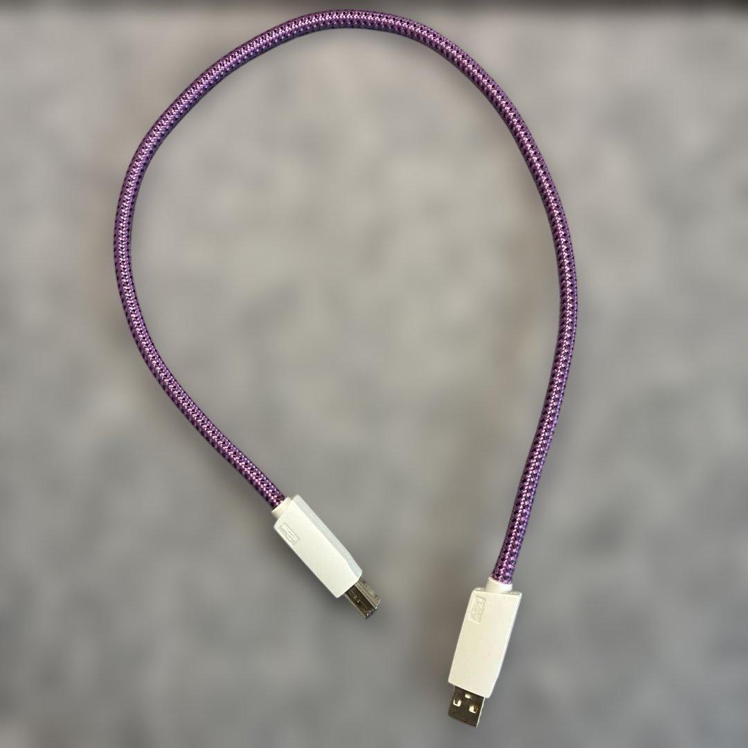 FURUTECH GT2 NCF USBケーブル 0.6m