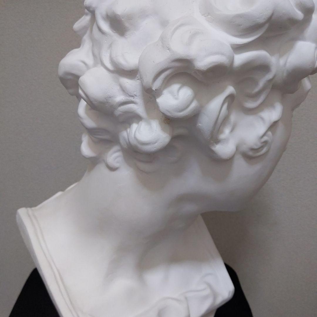 メディチ 石膏像