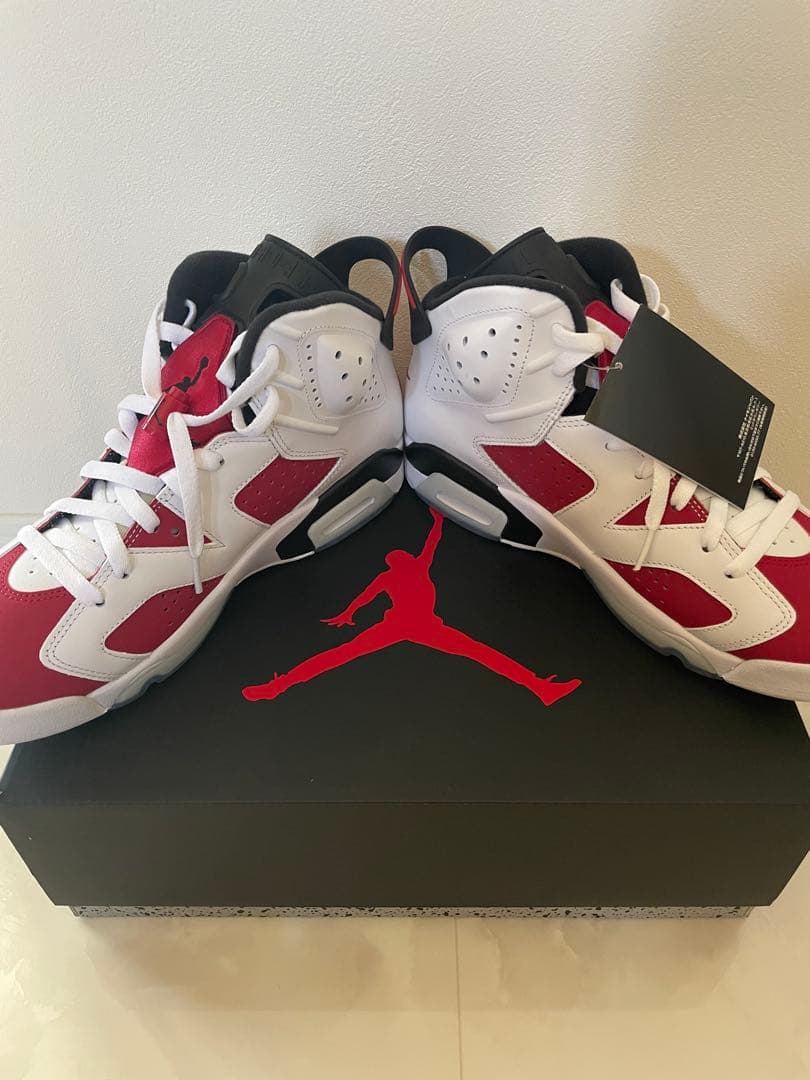 新品Nike Air Jordan 6 Retro Carmine New Nike Air Jordan 6 Retro 