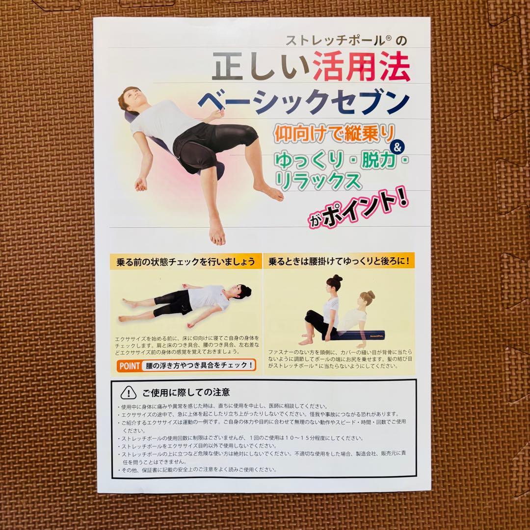 新品 未使用StretchPole LPN ストレッチポール EX DVD付き