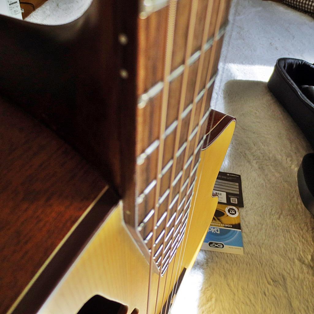 軽量で弾きやすいエレアコのマレーシア発ブランド\"エル・ルシアー\"