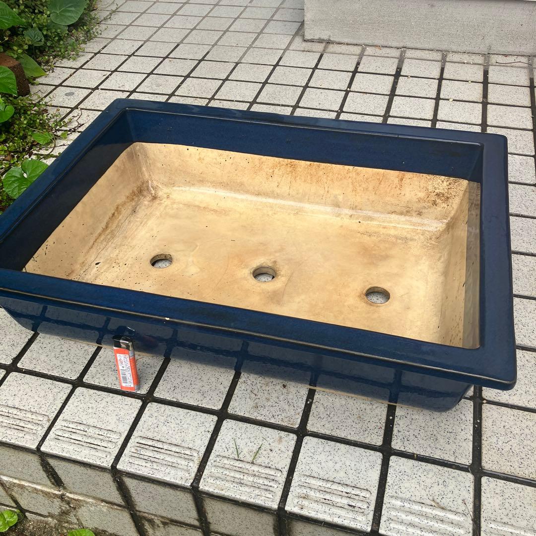 大型　盆栽鉢　21号　希少　黒松　五葉松　真柏 高松盆栽 五葉松 「威風堂々」を販売 ｜盆栽妙 – 盆栽妙 本店