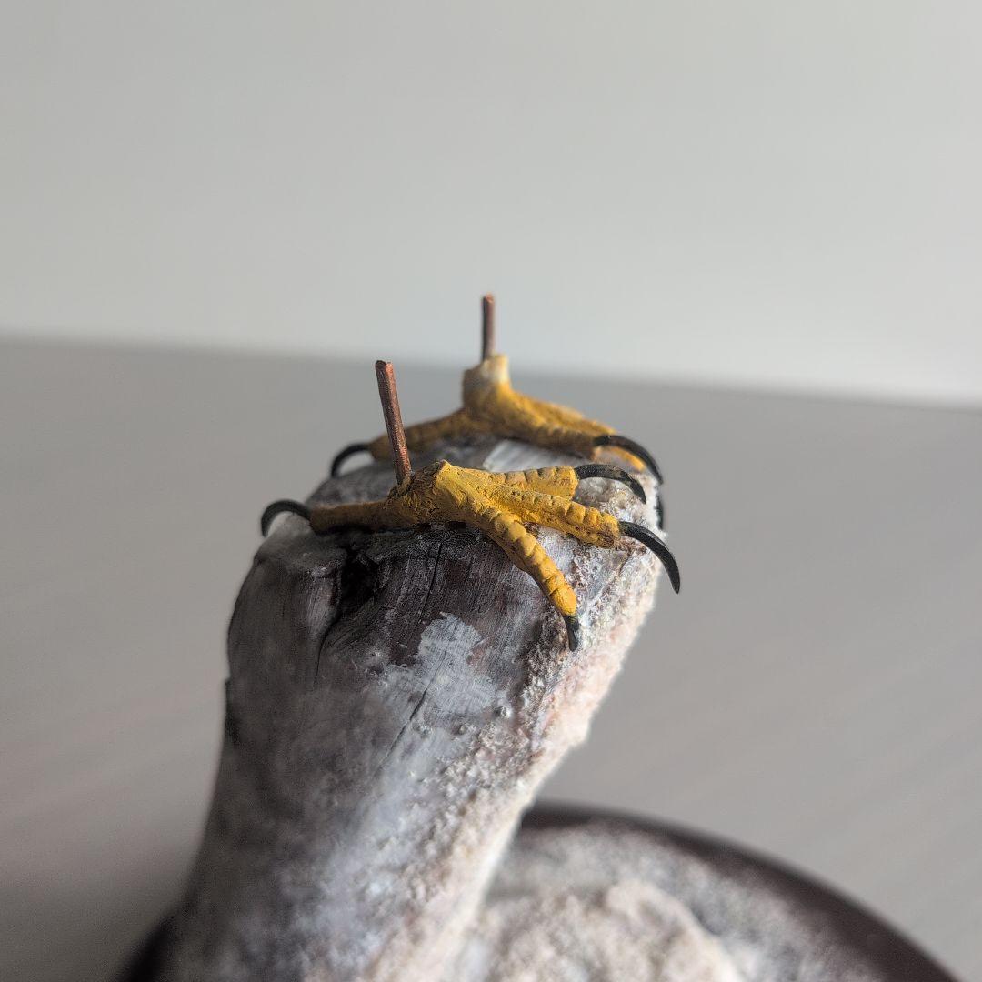 猛禽類の彫刻 シロハヤブサ バードカービング 木彫りの野鳥 野鳥彫刻