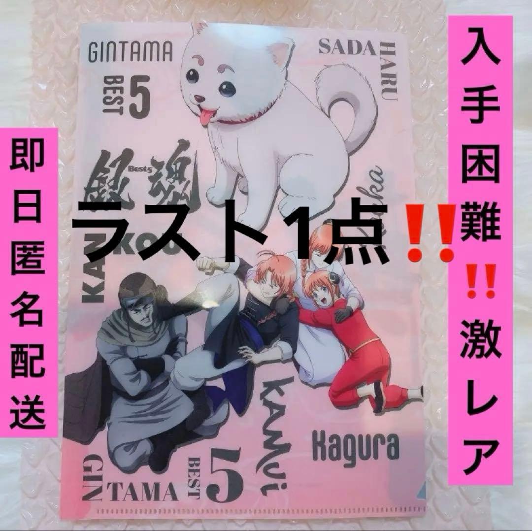 ラスト1点！入手困難新品未開封 銀魂後祭り特典ファイル 夜兎家族 神威