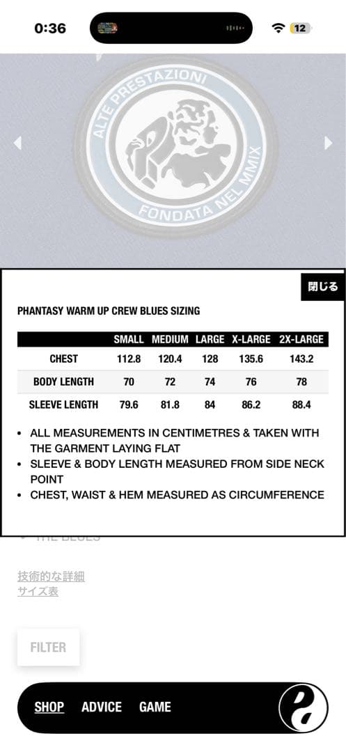 PALACE PHANTASY WARM UP CREW BLUES - メルカリ