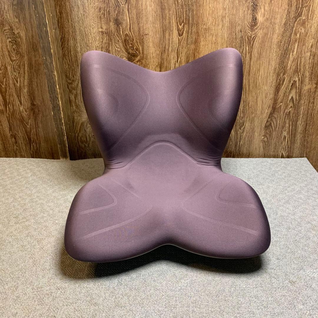 anny H875\" スタイルプレミアムMTG 姿勢矯正 骨盤サポート椅子