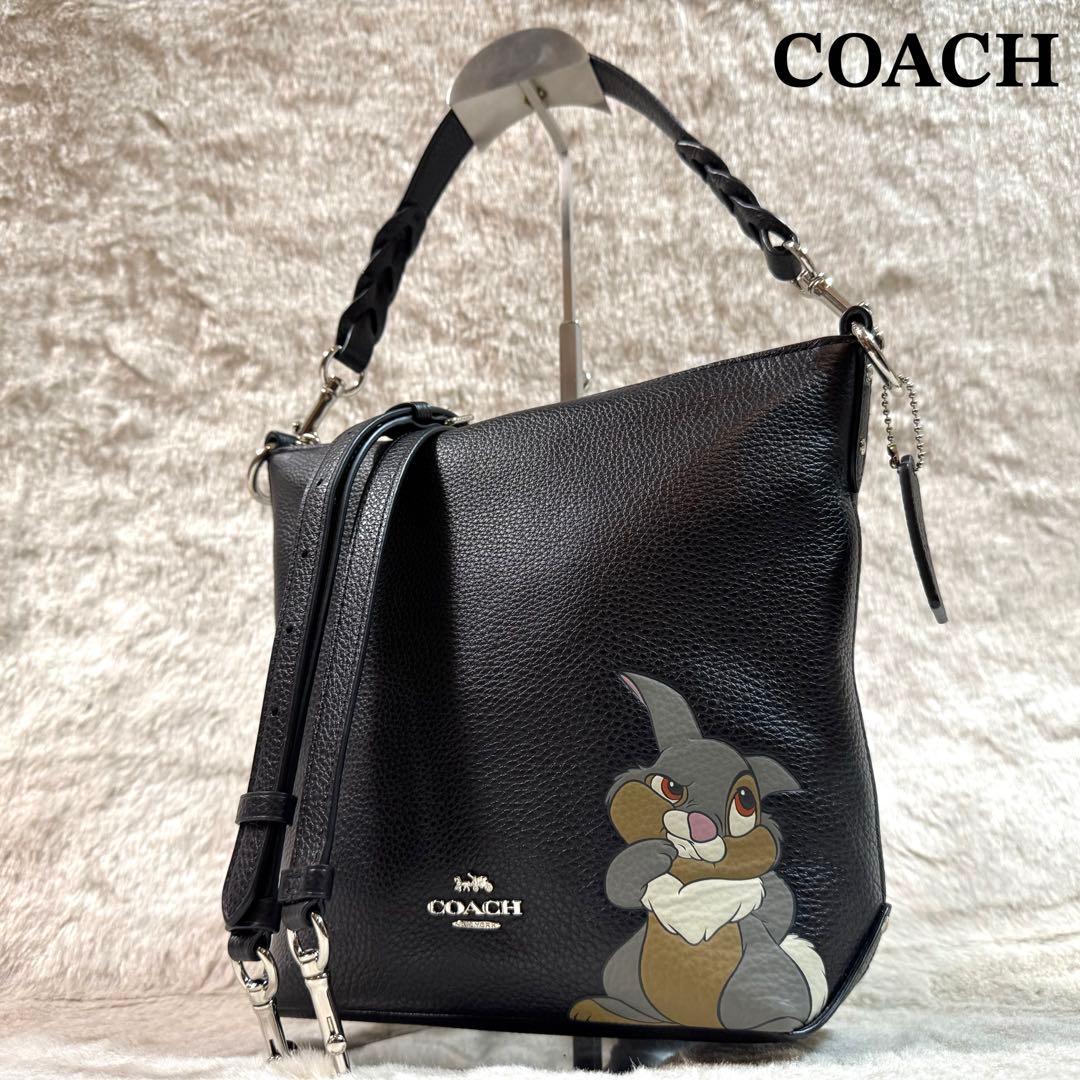 未使用級品】 COACH × Disney とんすけ2way ショルダーバッグ - メルカリ
