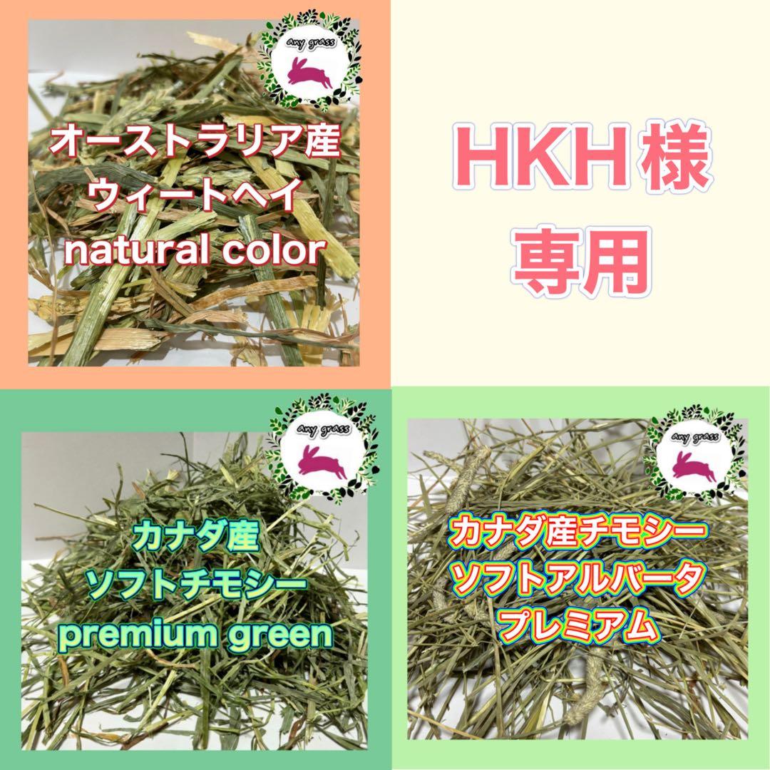 ★HKH★おまとめ3種 NEW スヌーピー Pochitto6《ポチッとシックス》 全3種類 こどものかお