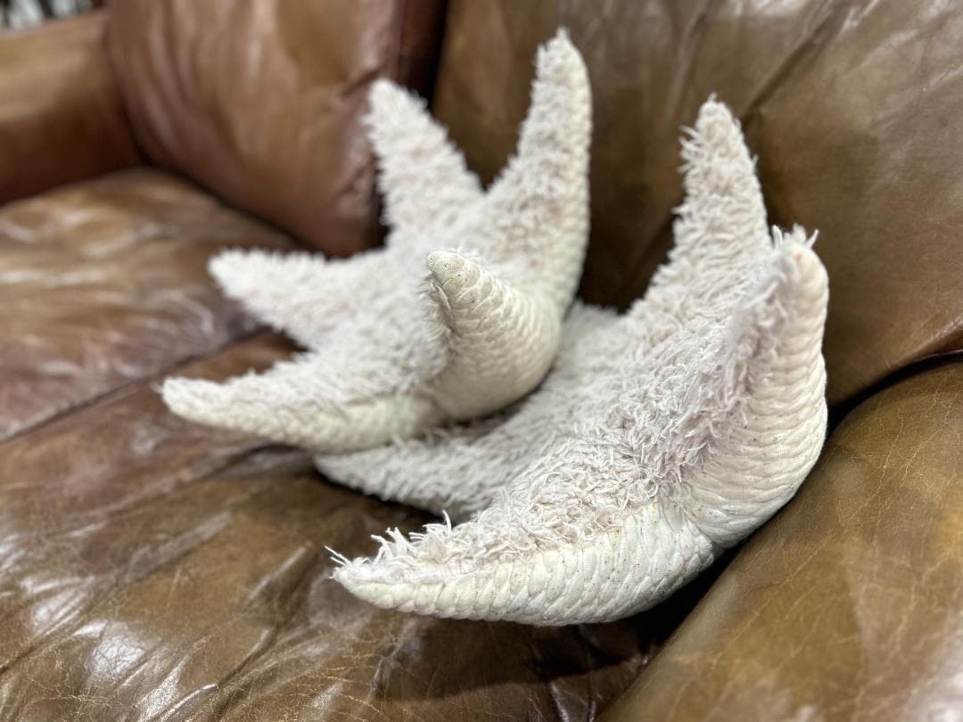 セット】Ron Herman / ロンハーマン BigStuffed ヒトデ セット】Ron