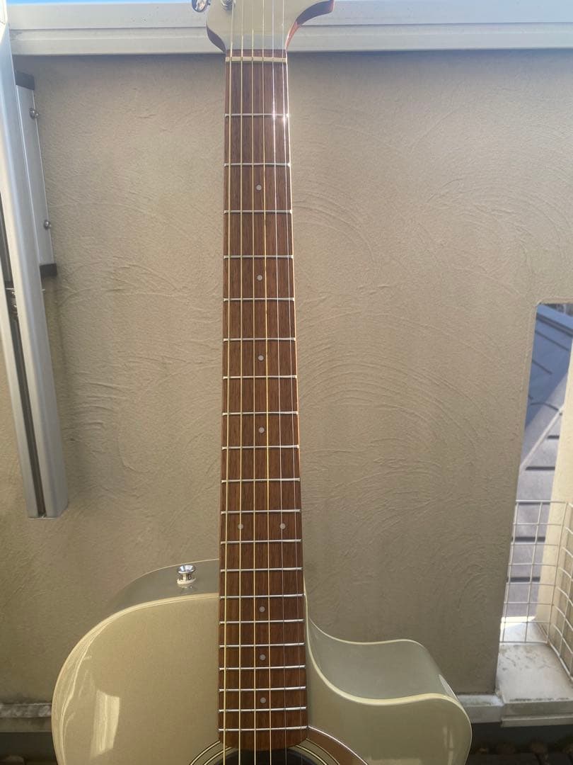 Fender Newporter Player (フェンダーニューポーター)