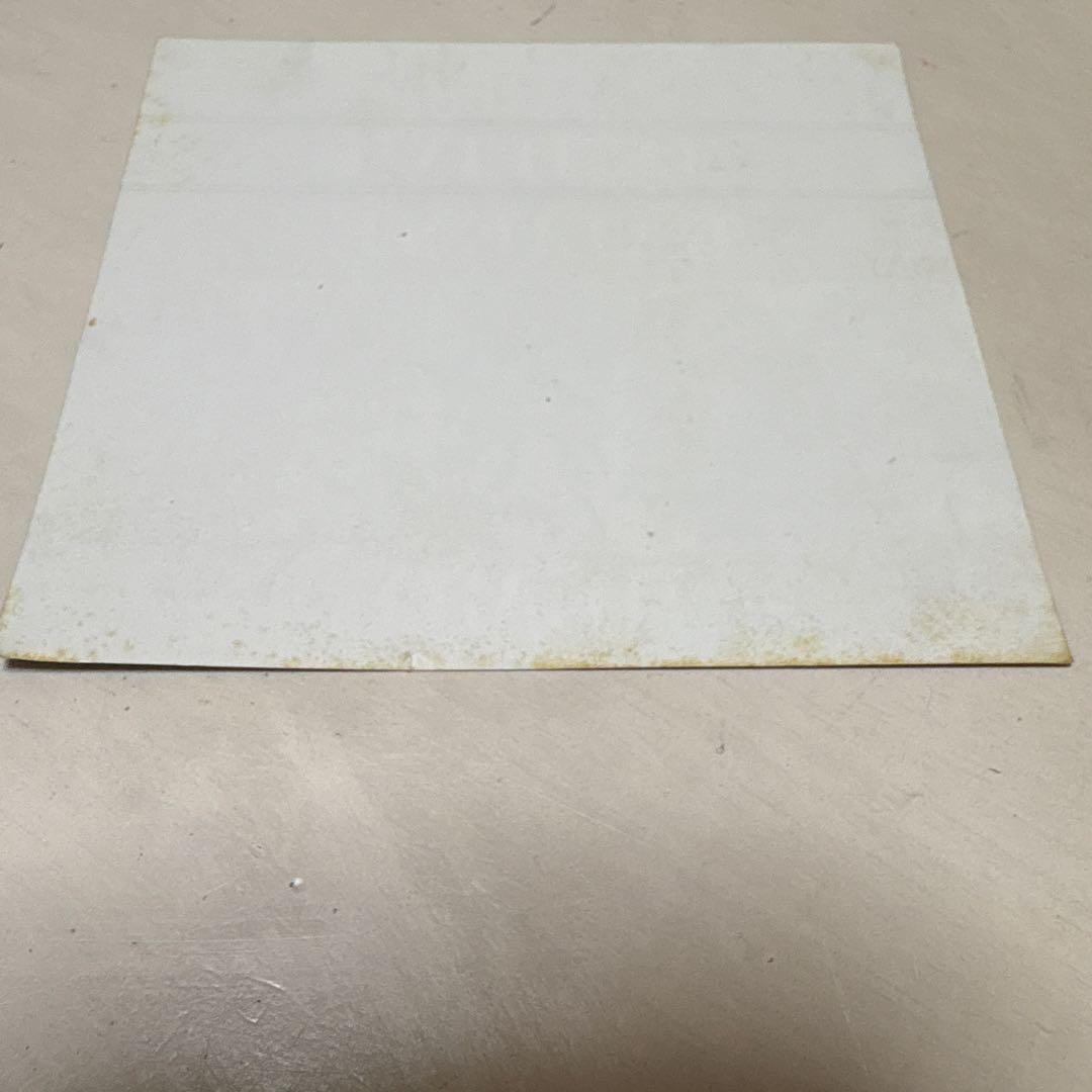 KAMIJO LAREINE 希少