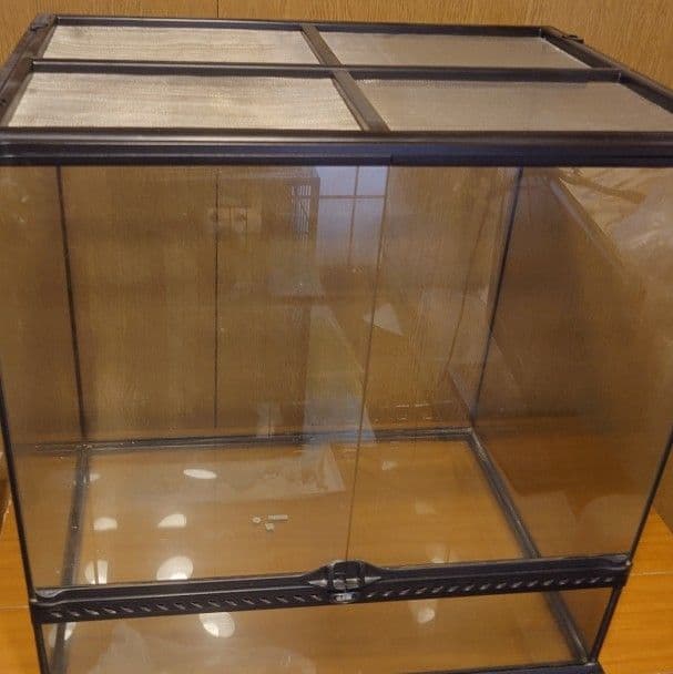 き　GEX グラステラリウム6060 グラステラリウム6060 エキゾテラ GEX ガラス飼育ケージ 販売 通販