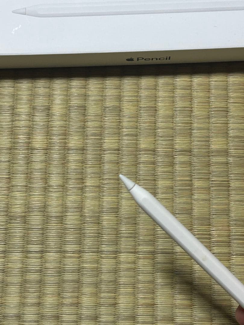iPadPro 12.9inch 第4世代 512G スペースグレー