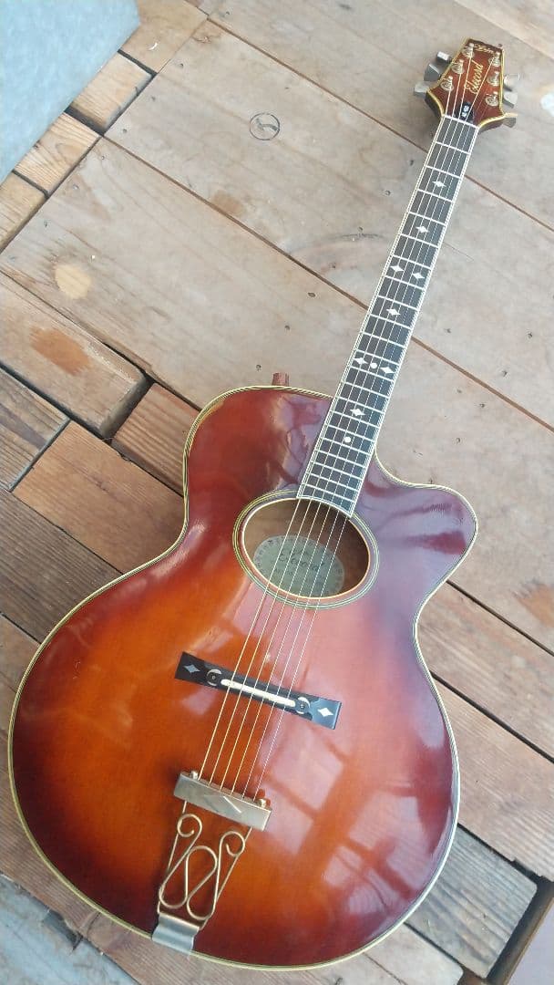 レオさん専用 ARIA Elecord AE-100 エレアコギター mt0141028_1_m.jpg