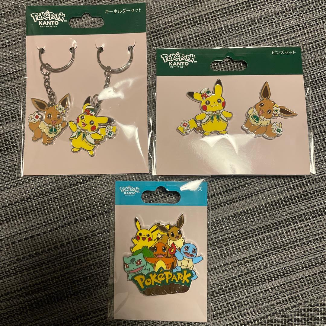 ポケパーク カントー 限定 ピンズ ピンズセット キーホルダーセット
