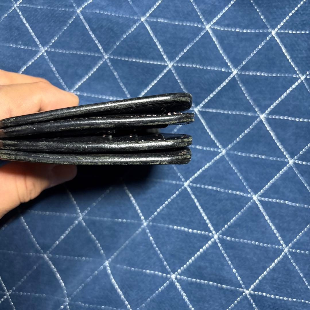 ワイルドスワンズフリッカー2