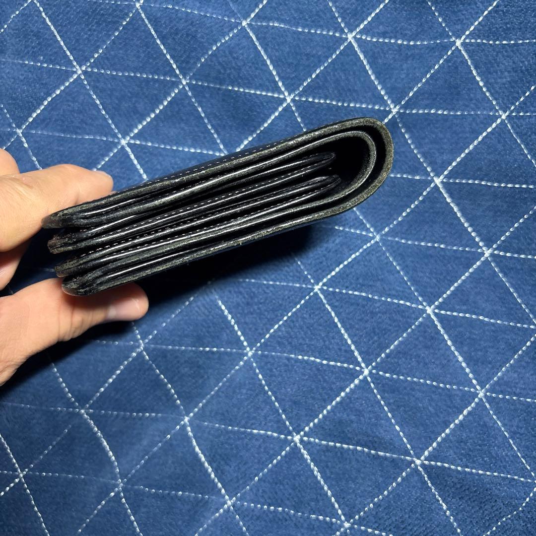 ワイルドスワンズフリッカー2