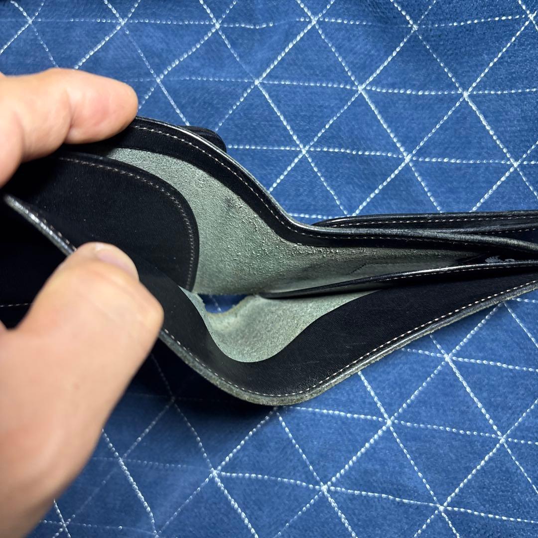 ワイルドスワンズフリッカー2