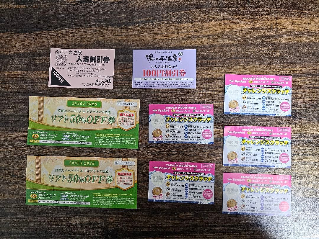 高鷲ダイナ半額券×2 高鷲ダイナ鷲ヶ岳割引券×5 おまけ - メルカリ