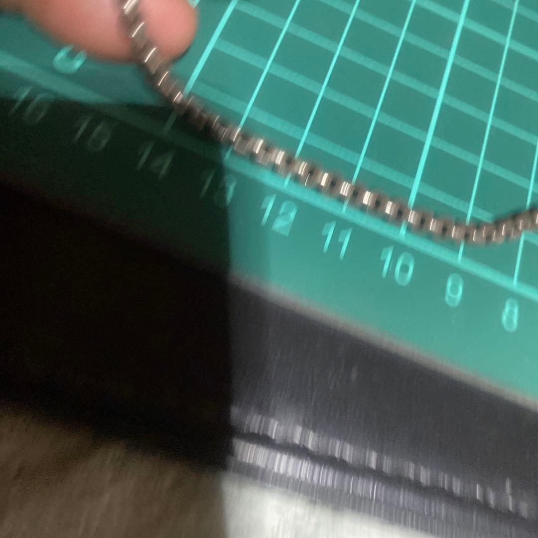 925 ネックレス 1KRONE デンマーク サソリ チェーン