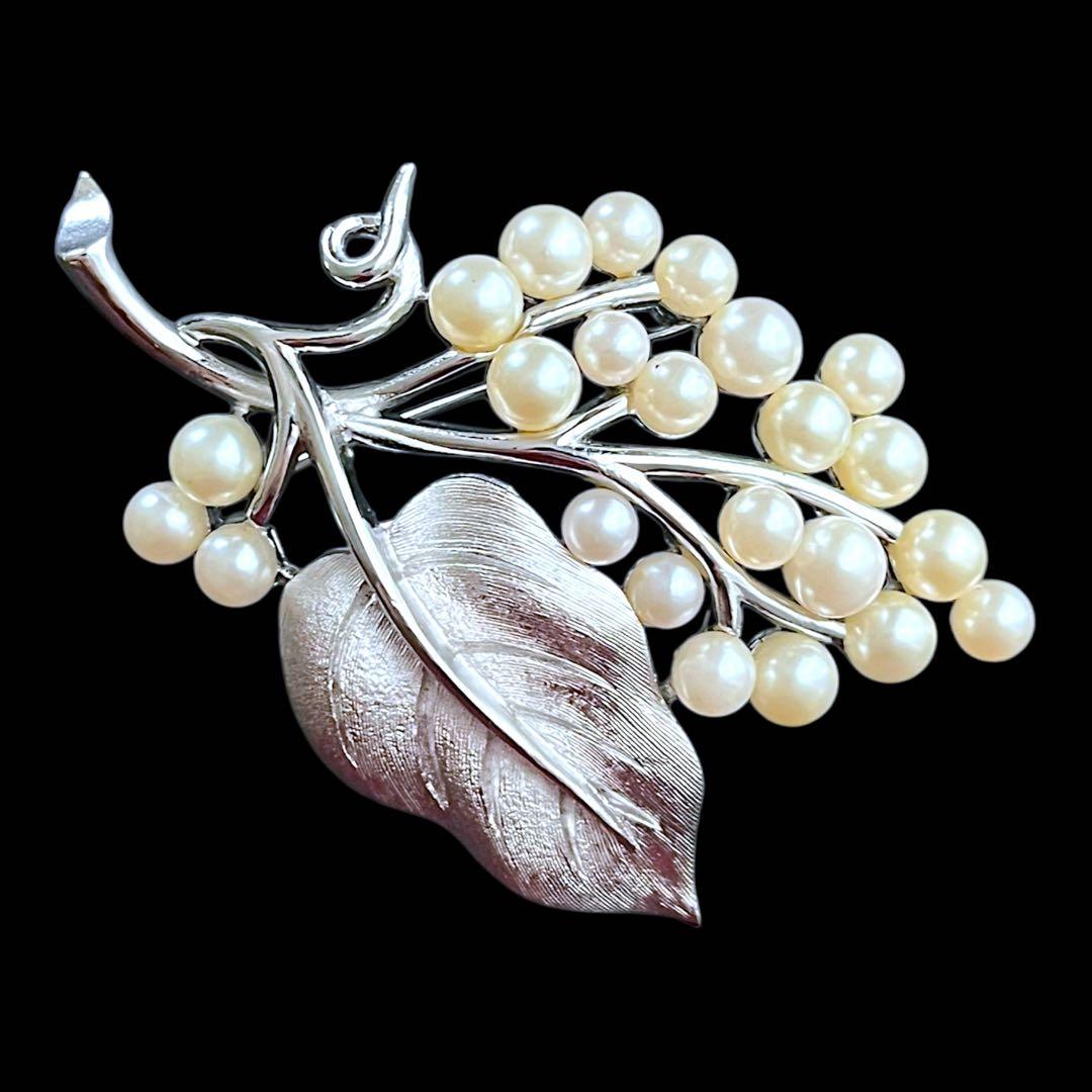 ☆shirokofievページ☆