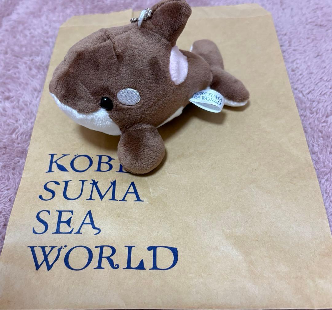 完売品 希少 須磨シーワールド シャチ ショコラデュオカラー