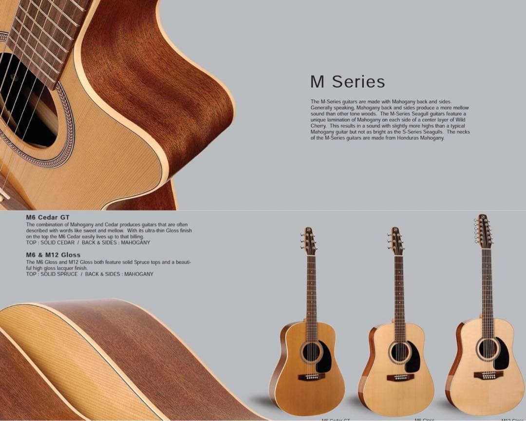 SEAGULL GUITARS M6 CEDAR GT シーガル・ギター - メルカリ