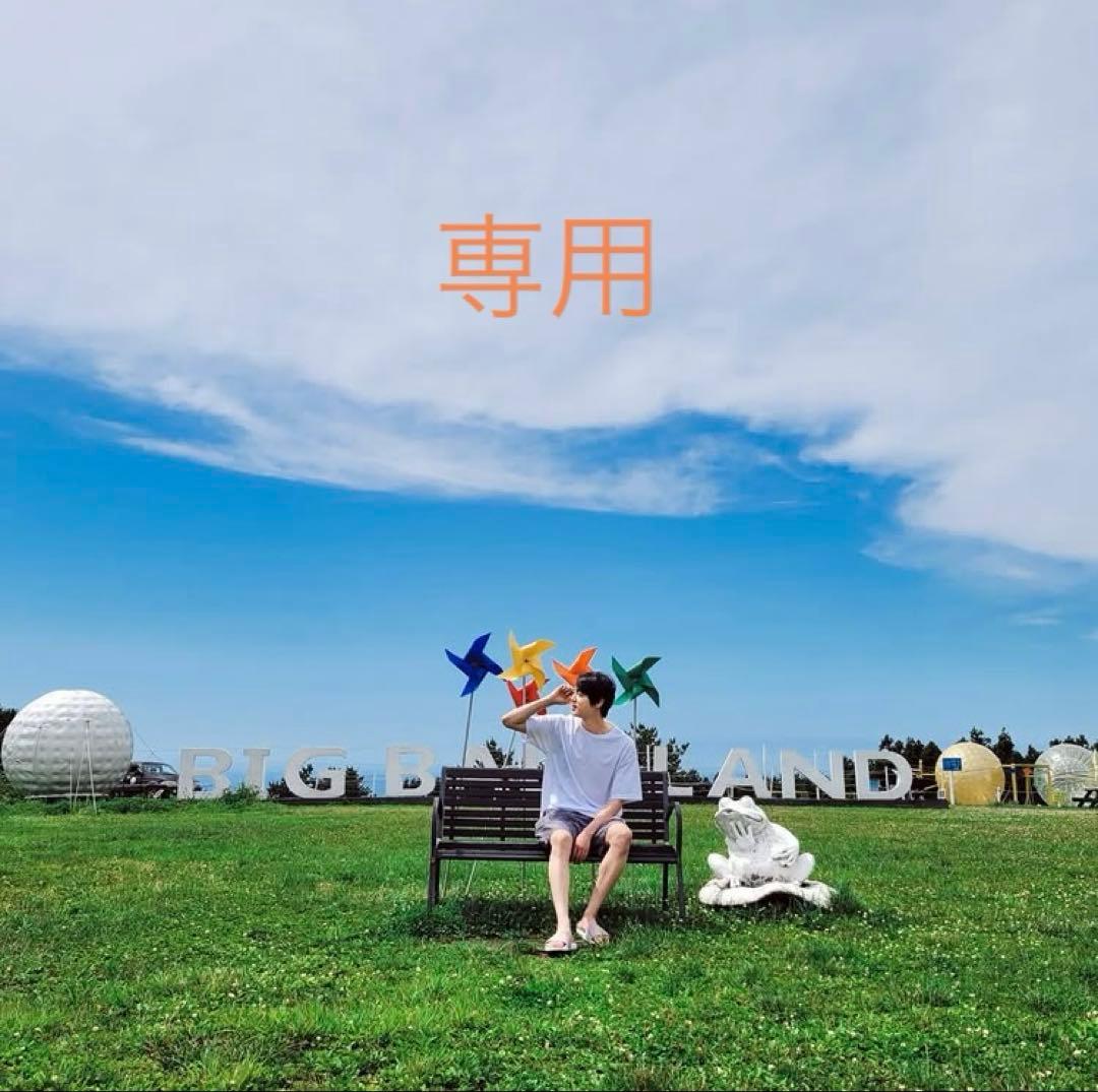 BTS ジン Jin IGIN APPLE GIN JAPAN Edition - メルカリ