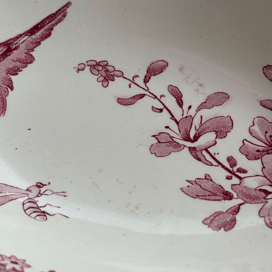 ピオニー様専用❣️サルグミンヌ FAVORI 赤い鳥のラヴィエ - メルカリ