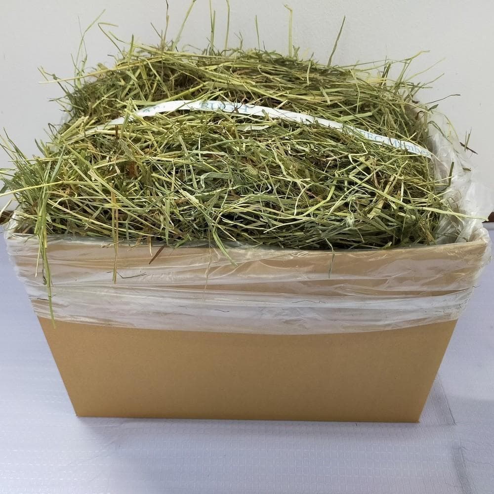 【6/30まで】US産 チモシー 50kg ２番刈り ソフトSプレミアム