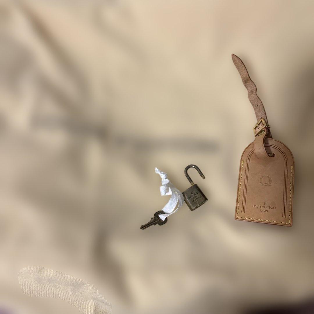 Louis Vuitton ヴェルニ パープル ペガス45 キャリーケース - メルカリ