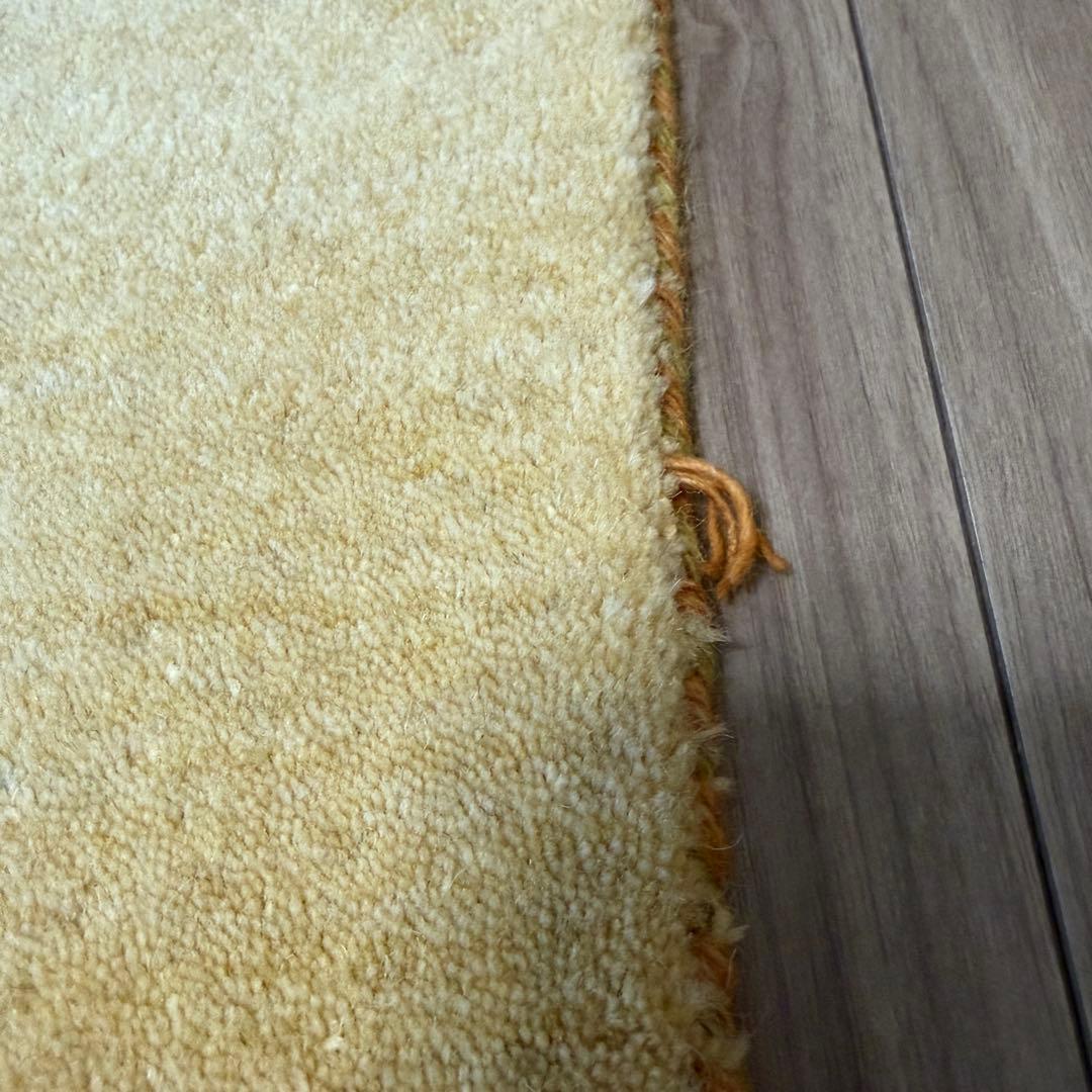 ハグみじゅうたん てざわりコレクションシリーズ ER6175-170 Mサイズ