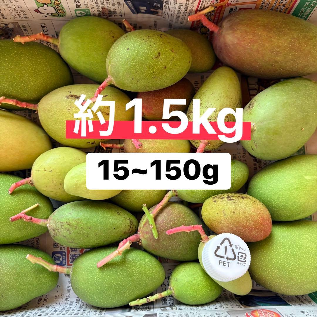 摘果マンゴー・グリーンマンゴー【約1.5kg(15~150g)】 - メルカリ