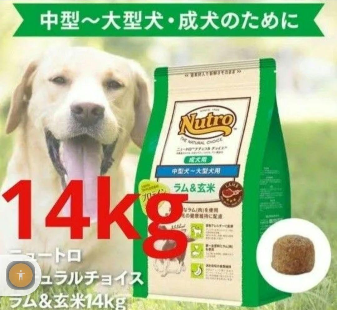 ニュートロナチュラルチョイス ラム＆玄米 中型犬〜大型犬 成犬用 14kg