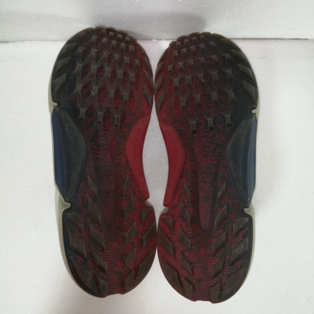 ecco boa ゴルフシューズ gore tex biom