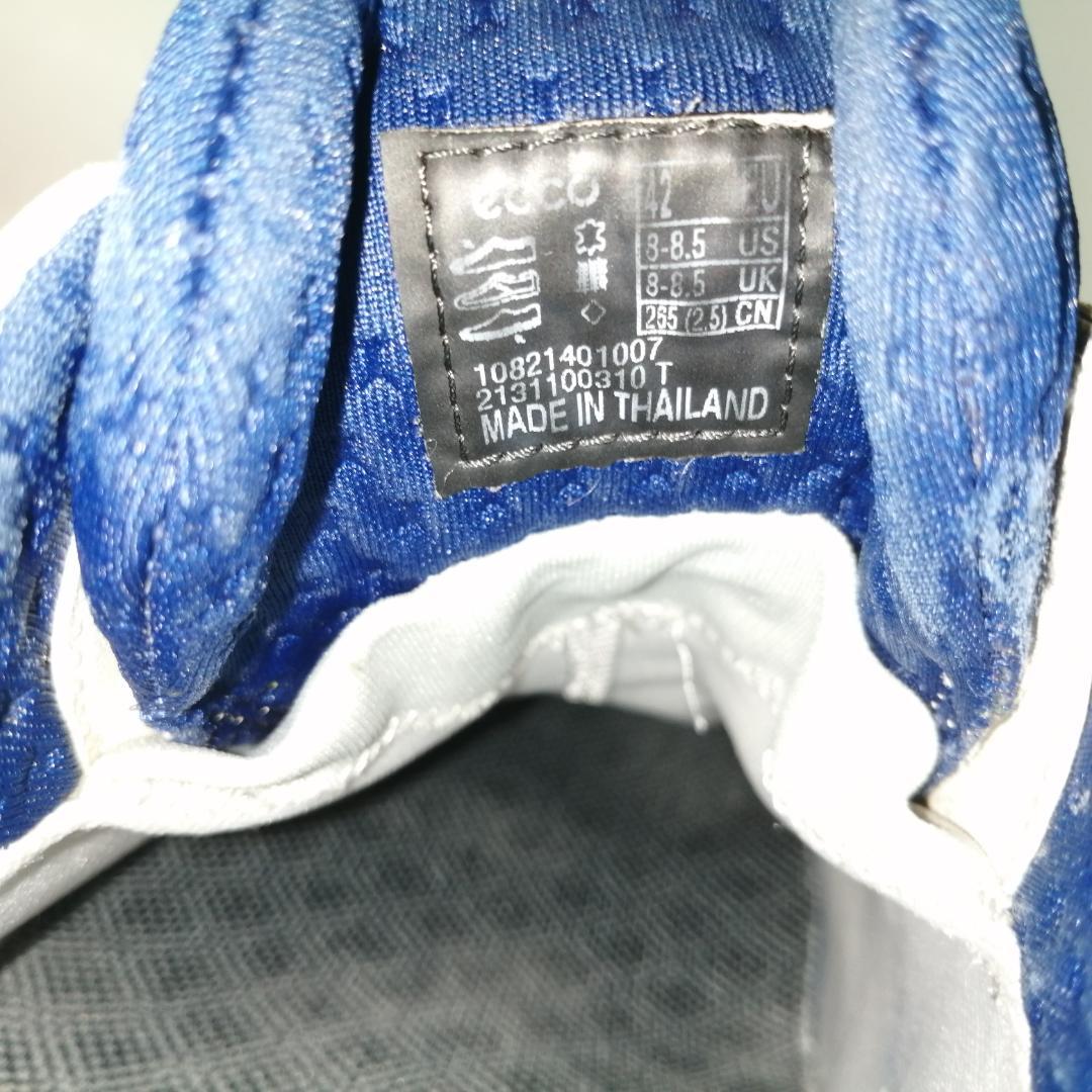 ecco boa ゴルフシューズ gore tex biom