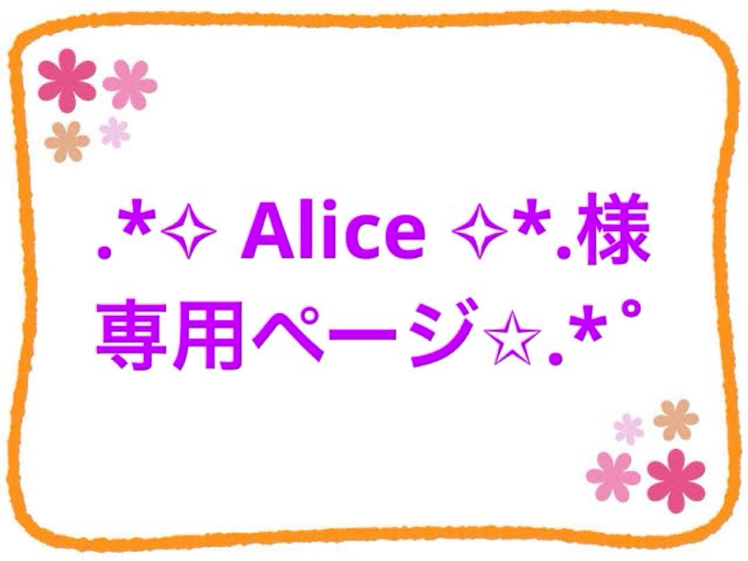 ✧⁠ Alice ✧⁠*.様専用ページ✩.*˚ - メルカリ