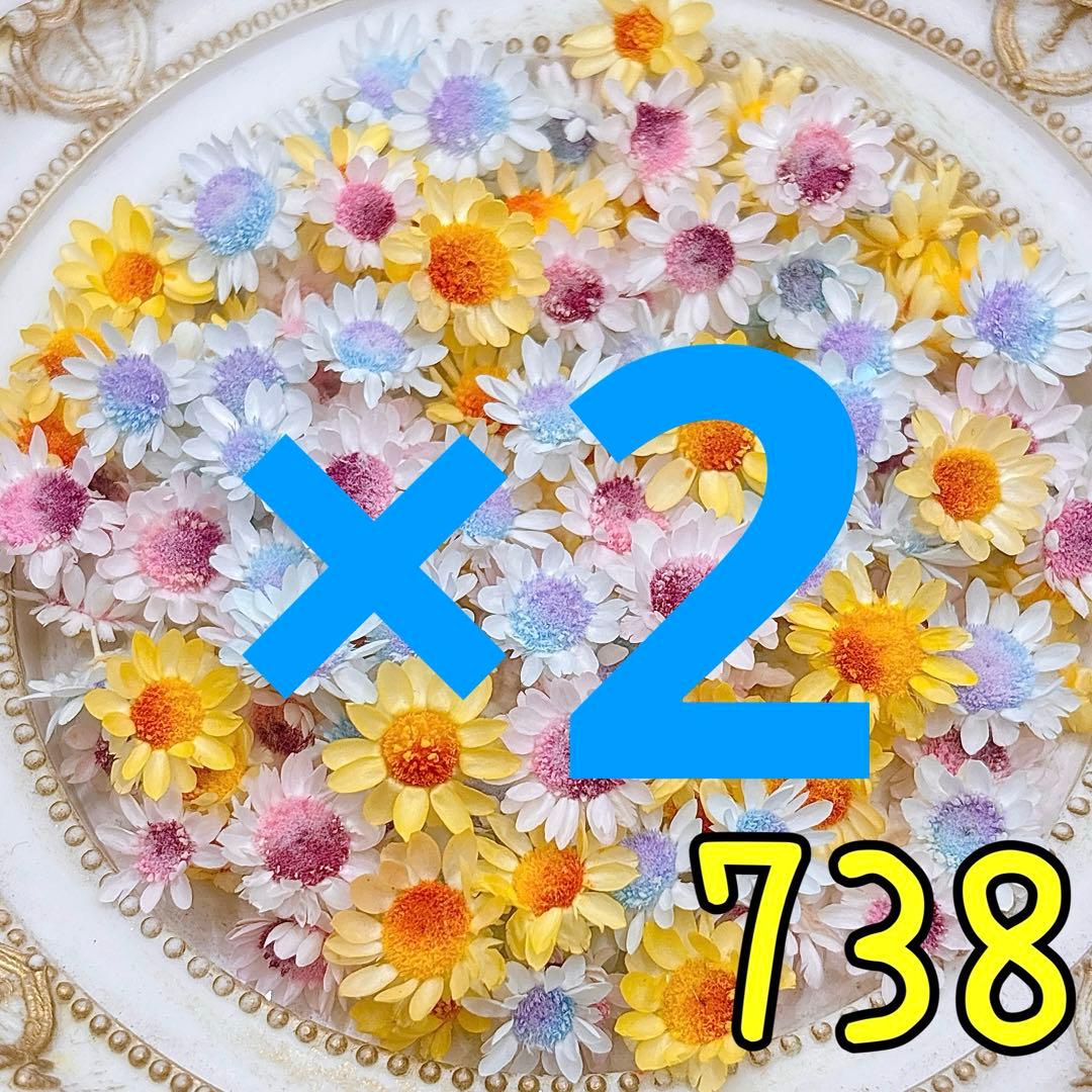 ✧⁠ Alice ✧⁠*.様専用ページ✩.*˚ - メルカリ