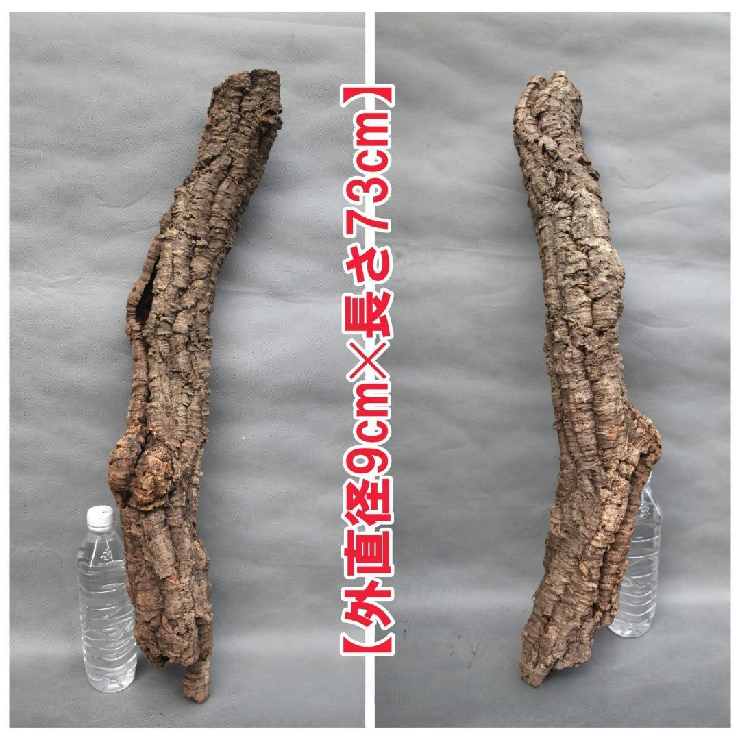 W608 ポルトガル産 キャノンコルク コルク樹皮 コルク板 バージン