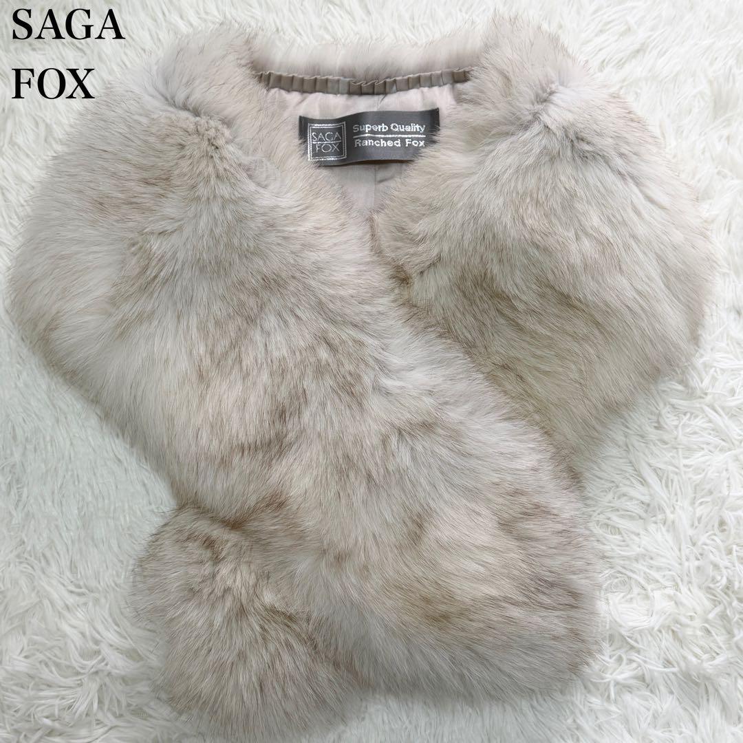 SAGA FOX サガフォックス ブルーフォックス ファーストール リアル