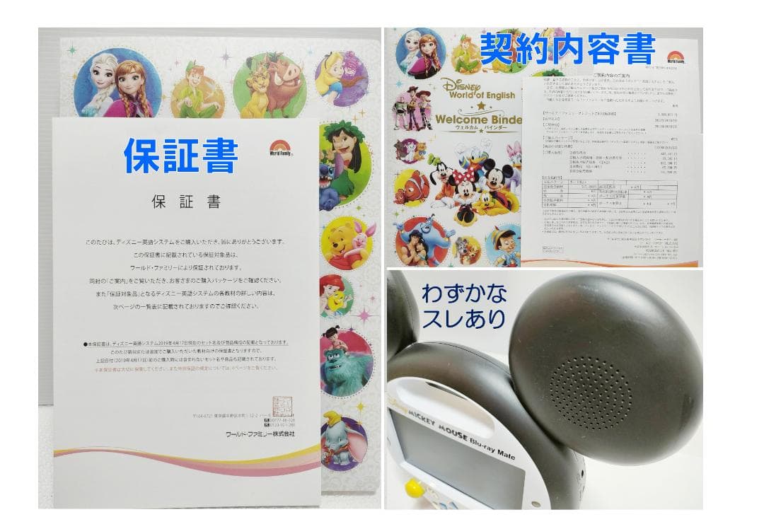 まいける 様専用 2020年 ミッキーパッケージGA DWE ディズニー 最新版