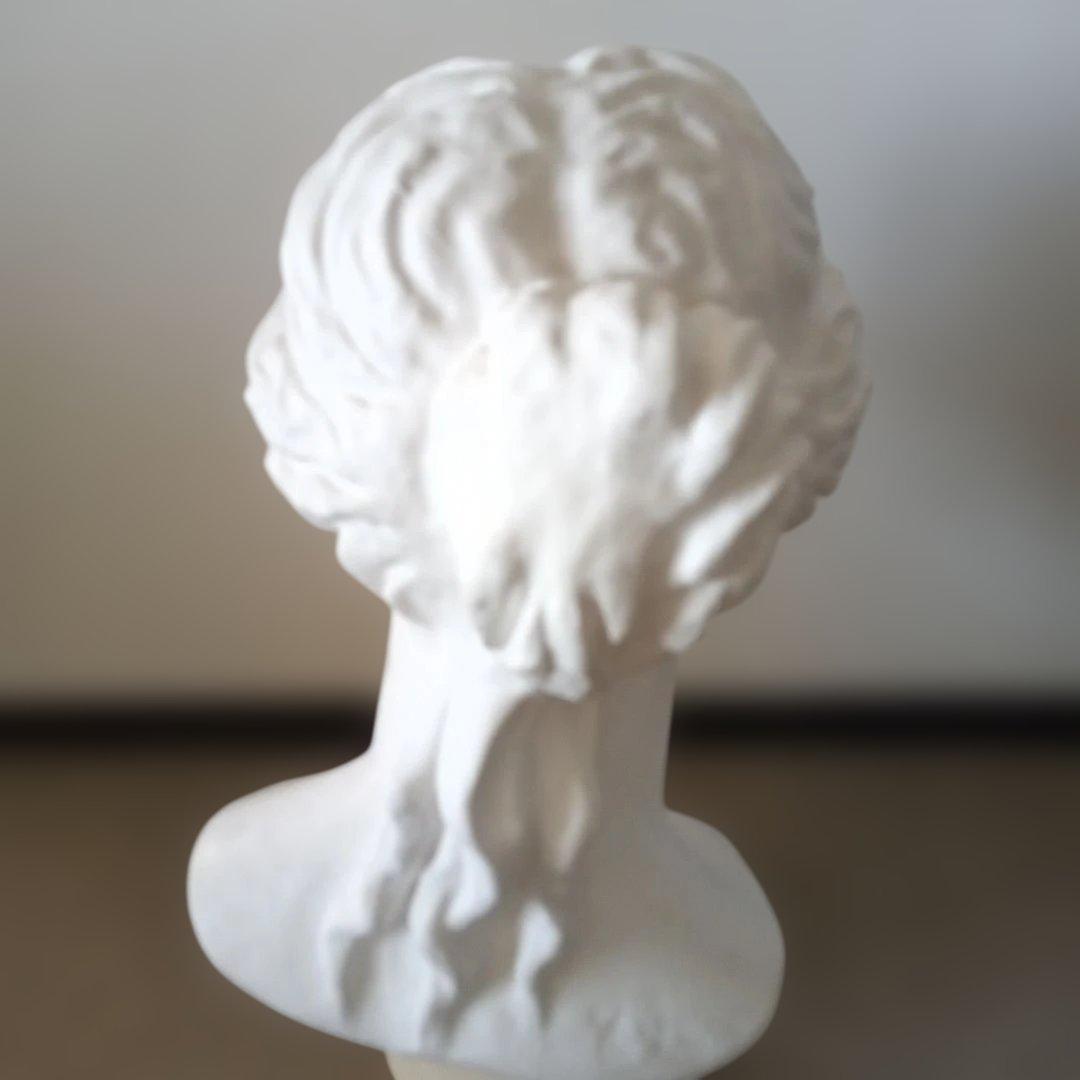 ミロのビーナス石膏像