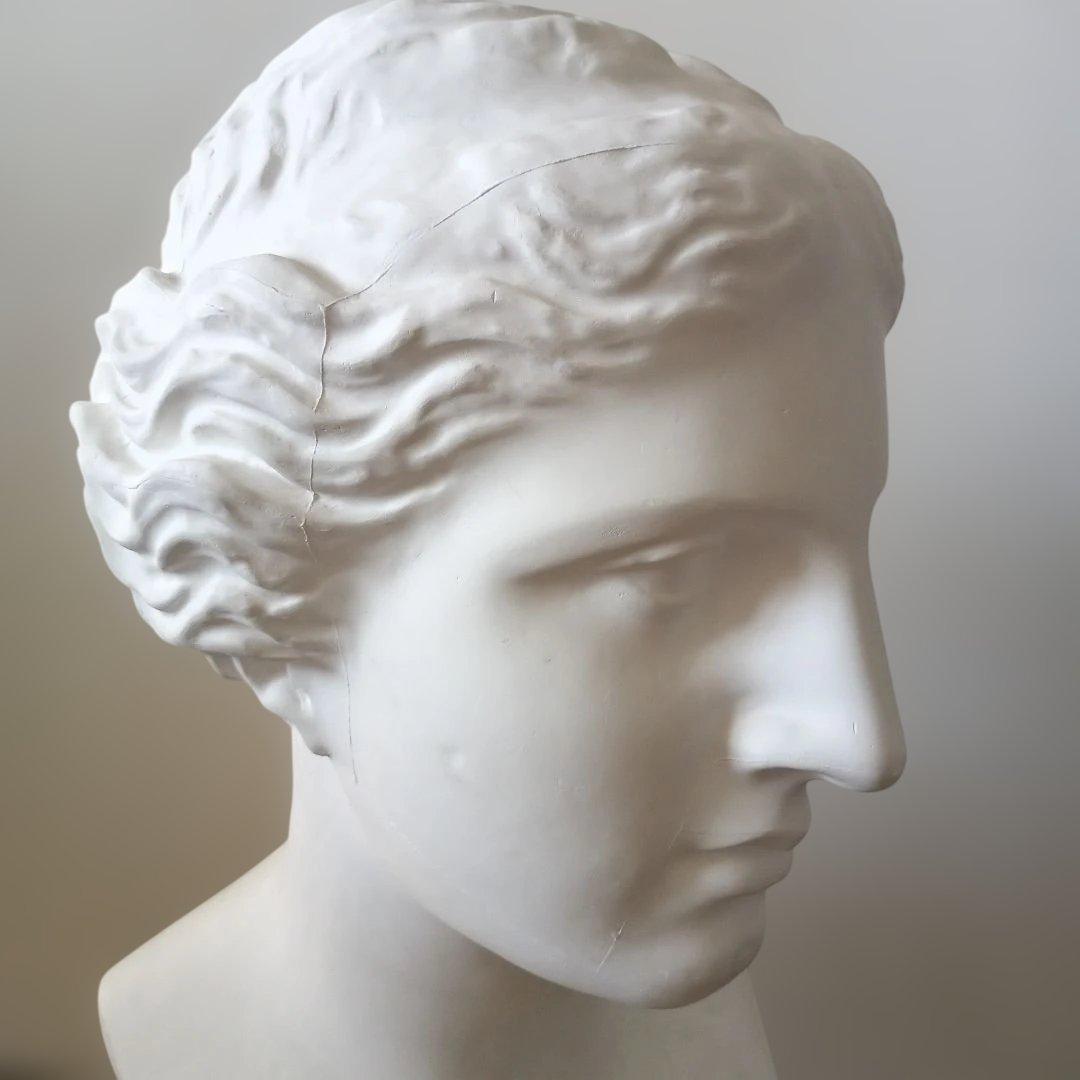 ミロのビーナス石膏像