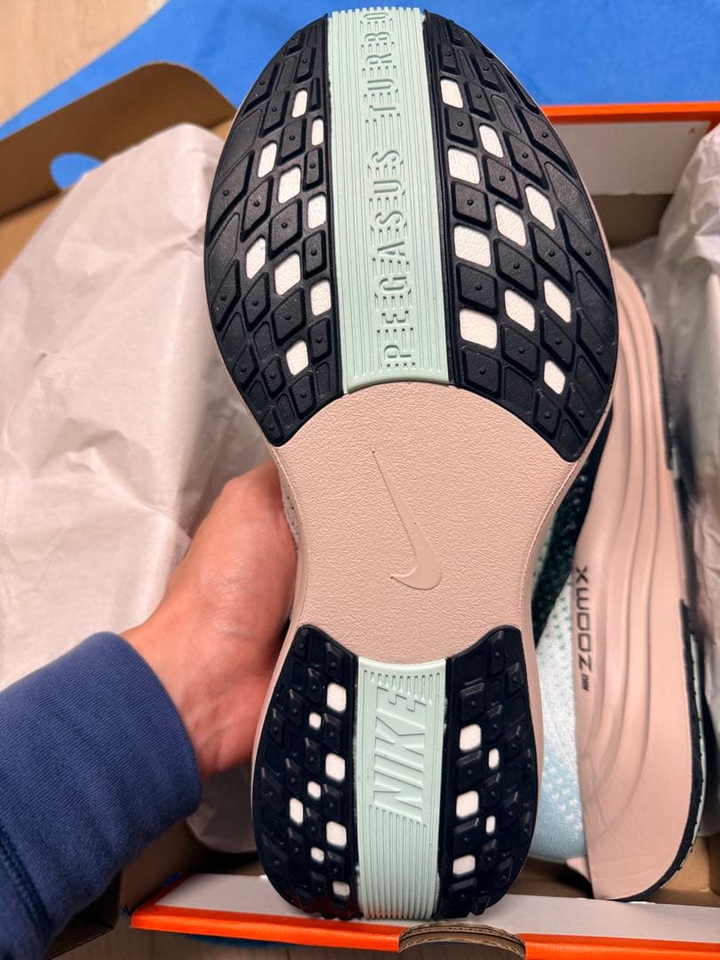 ナイキ ペガサス プラス　29.0