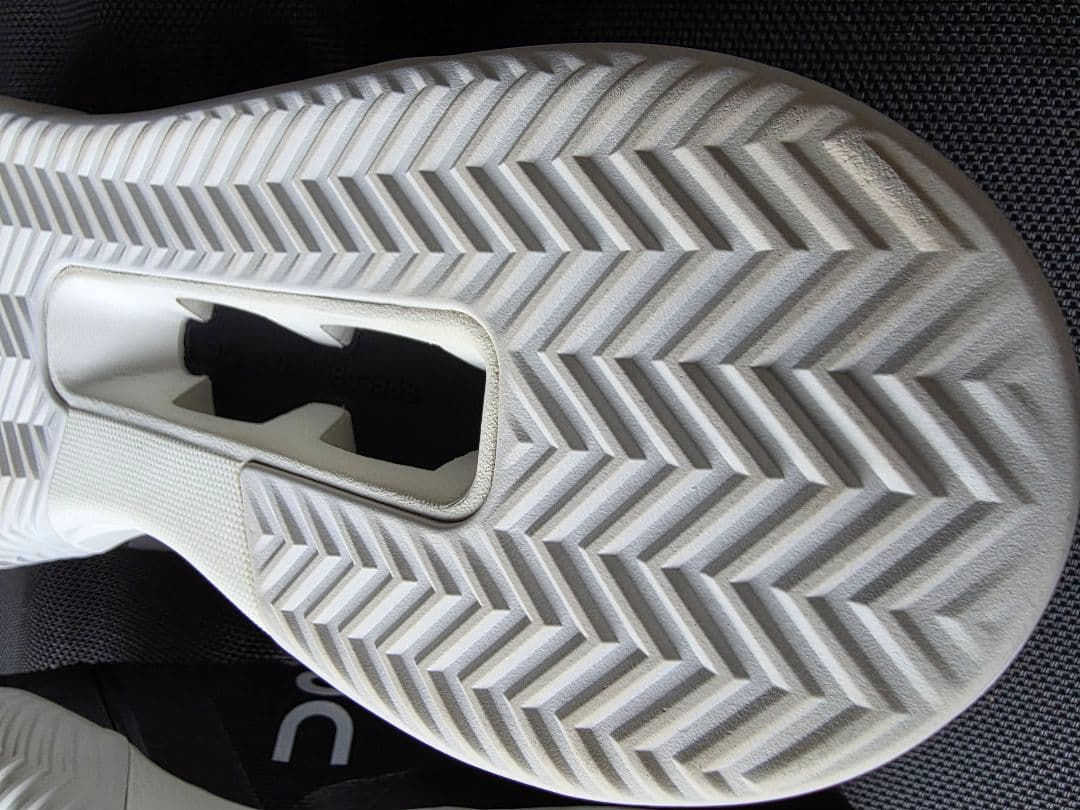 シューズ(男性用) On THE ROGER Advantage Pro Clay 28.0cm